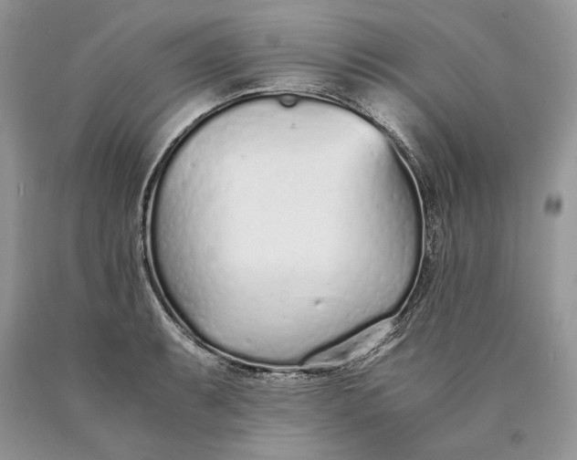 X0000089931087200707201835