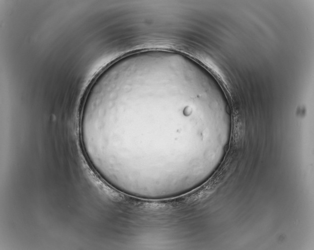 X0000089931088200707201835