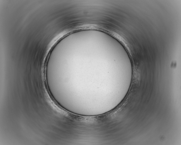 X0000089931090200707201835