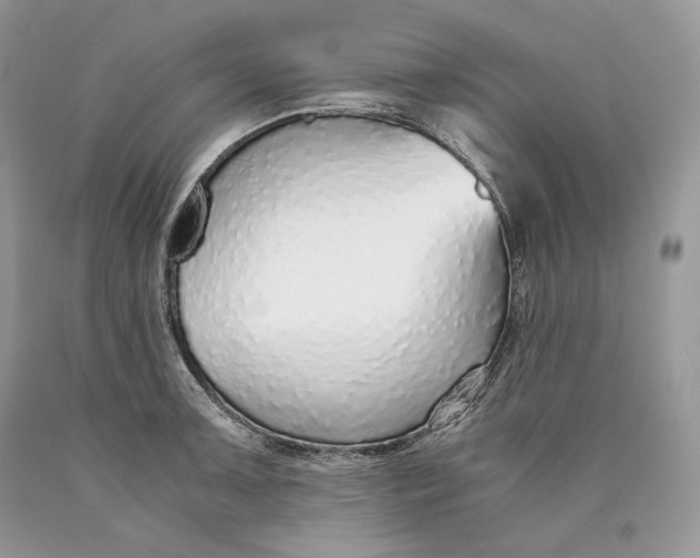 X0000089931091200707201835