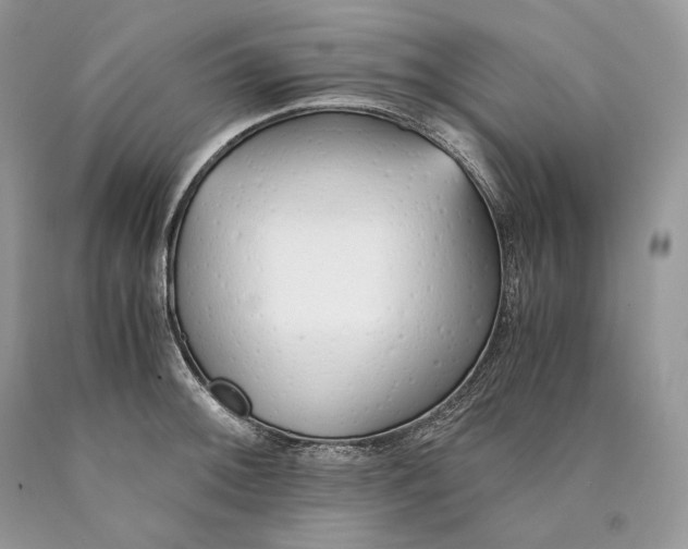 X0000089931092200707201835