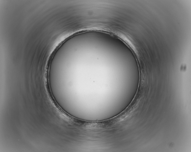 X0000089931093200707201835