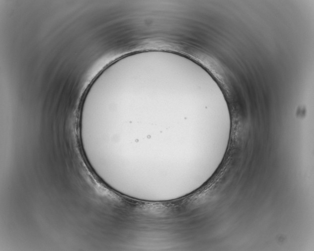 X0000089931094200707201835