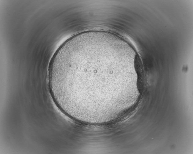 X0000089931095200707201835