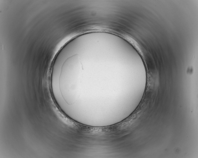 X0000089931098200707201835