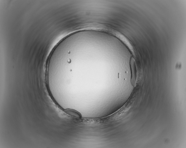 X0000089931099200707201835