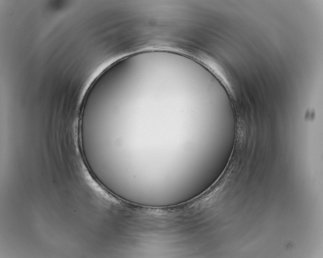 X0000089931100200707201835