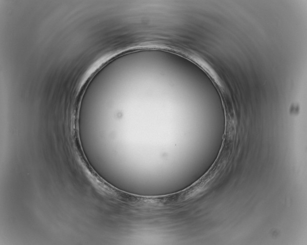 X0000089931101200707201835