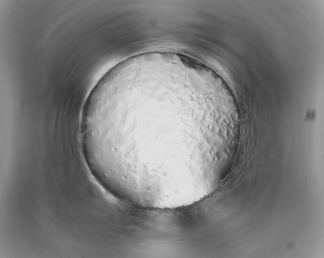 X0000089931103200707201835