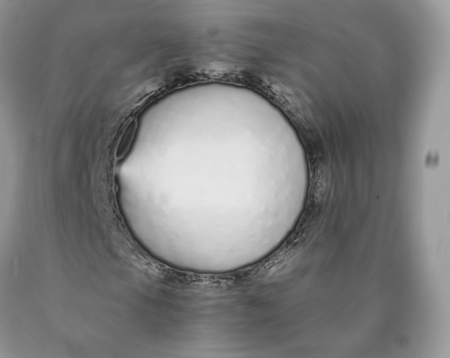 X0000089931105200707201834