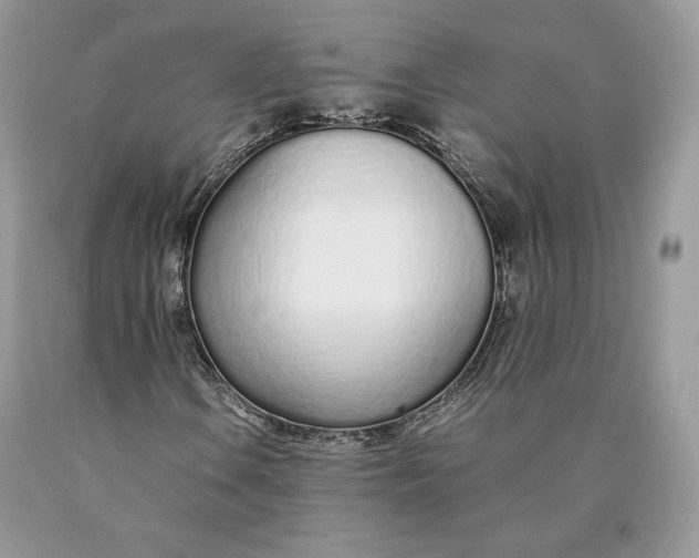 X0000089931106200707201834