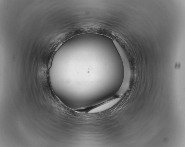 X0000089931108200707201834