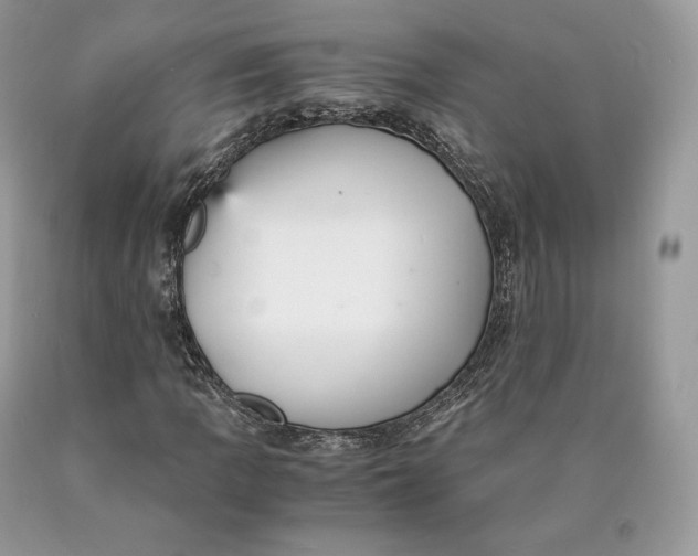 X0000089931109200707201834