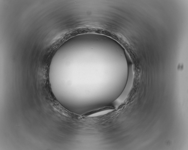 X0000089931110200707201834