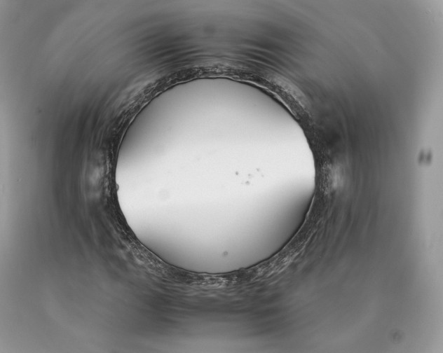 X0000089931111200707201834