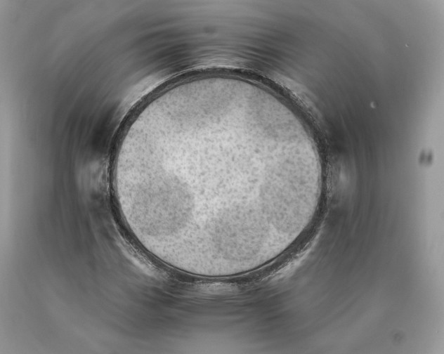 X0000089931113200707201834