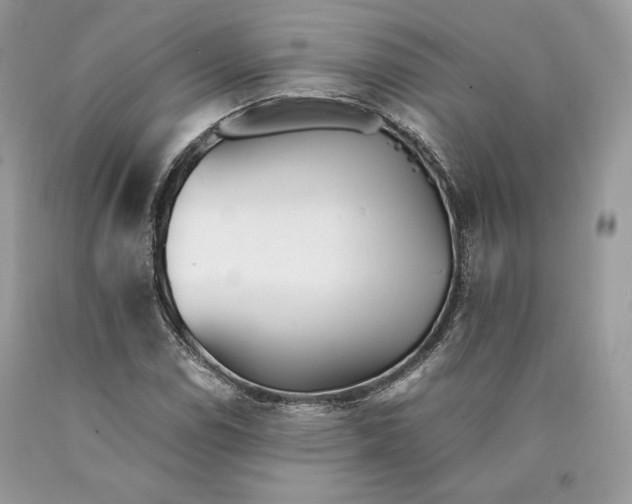 X0000089931114200707201834