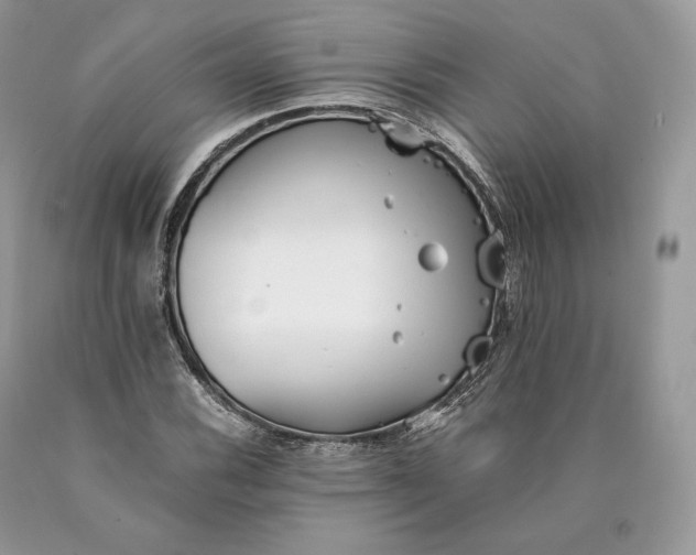 X0000089931116200707201834