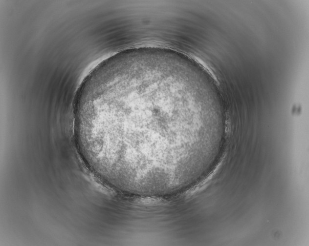 X0000089931117200707201834