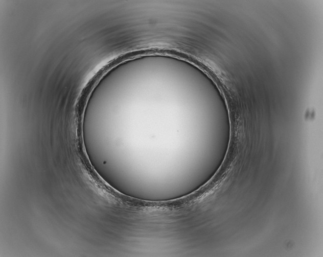 X0000089931118200707201834