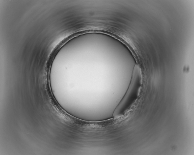 X0000089931119200707201834