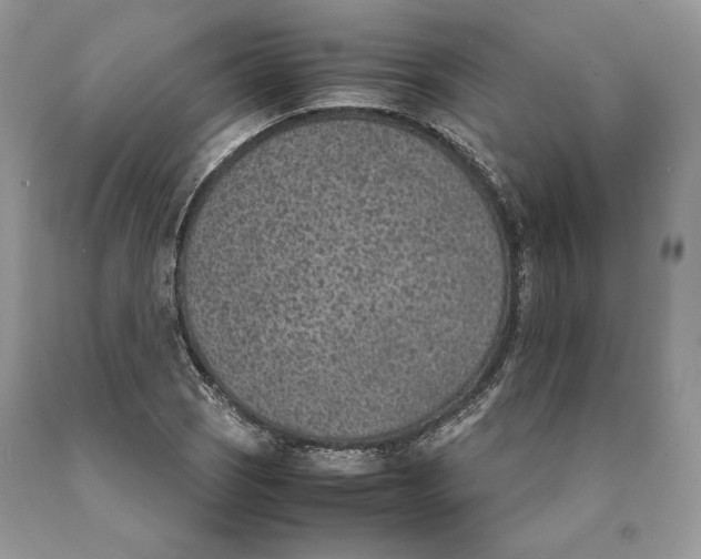 X0000089931121200707201834