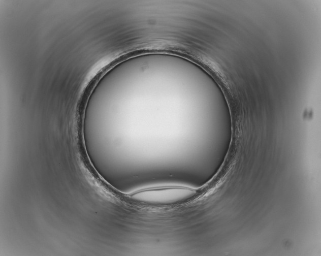 X0000089931122200707201834