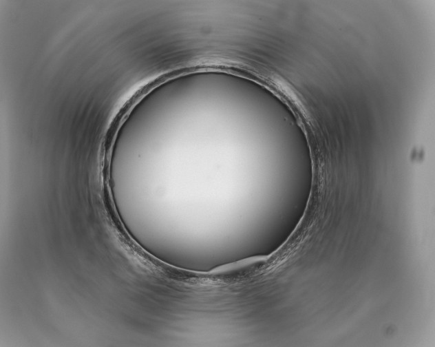 X0000089931124200707201834