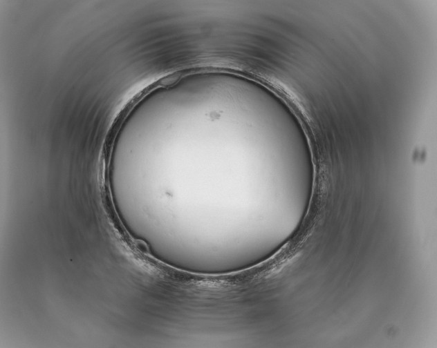 X0000089931125200707201834