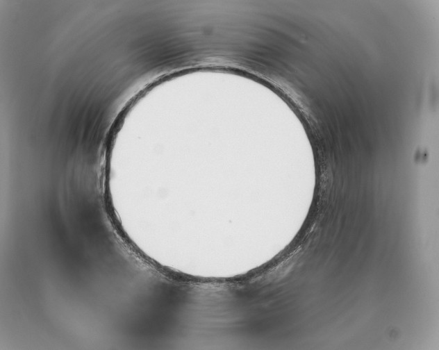 X0000089931126200707201834