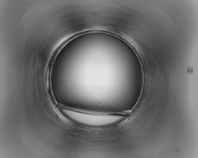 X0000089931127200707201834