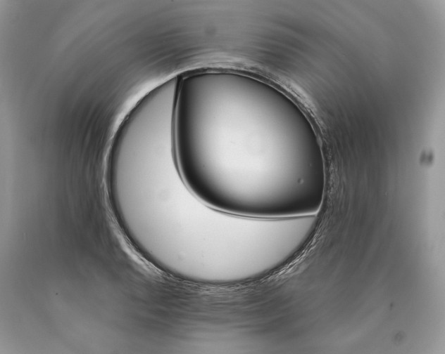 X0000089931128200707201834