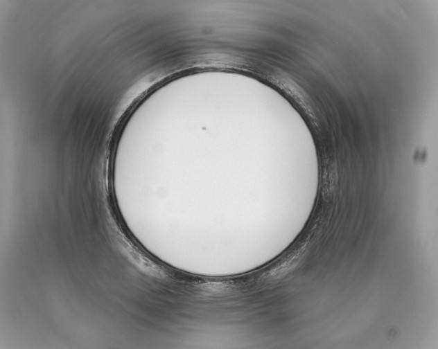 X0000089931130200707201834