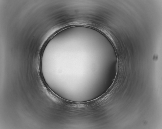 X0000089931131200707201834