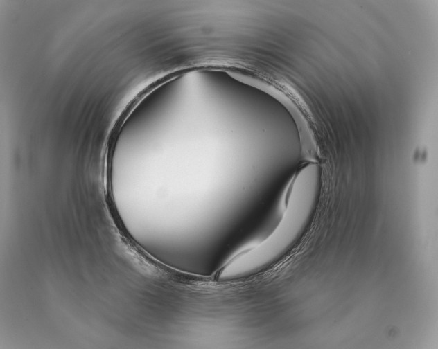 X0000089931132200707201834