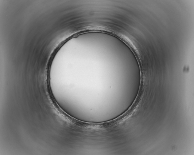 X0000089931133200707201834