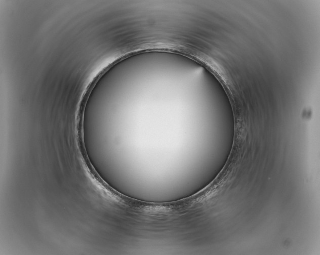 X0000089931135200707201834