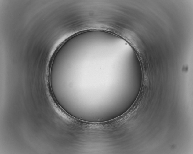 X0000089931136200707201834