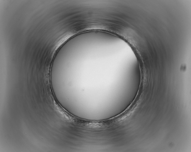 X0000089931137200707201834