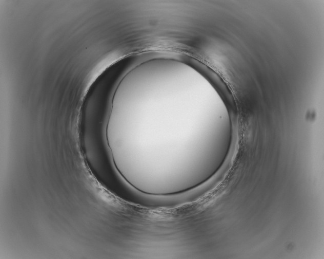 X0000089931138200707201834