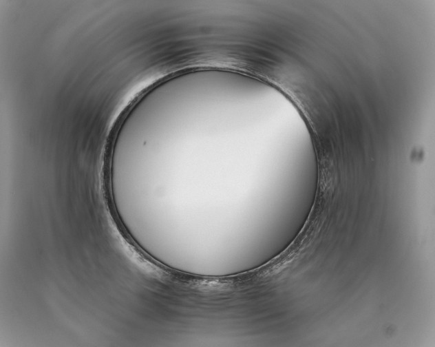 X0000089931139200707201834