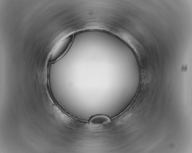 X0000089931140200707201834