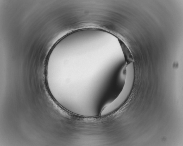 X0000089931142200707201834