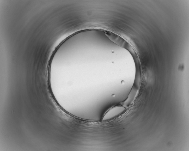 X0000089931144200707201834