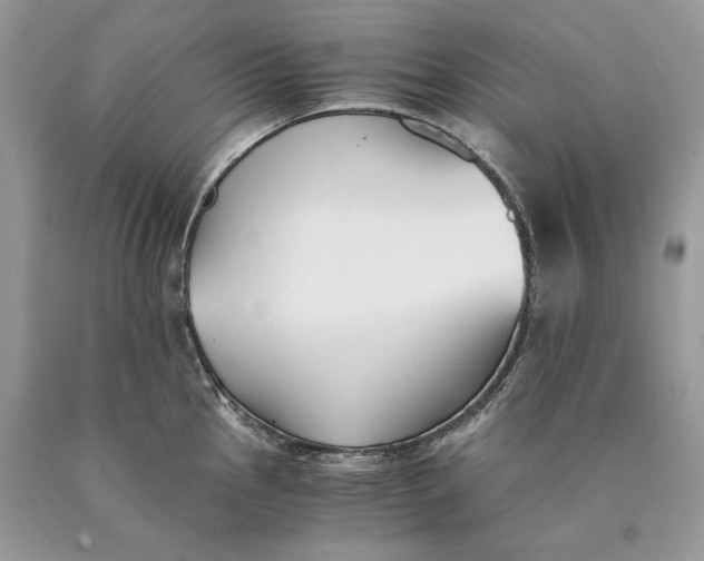 X0000089931145200707201834