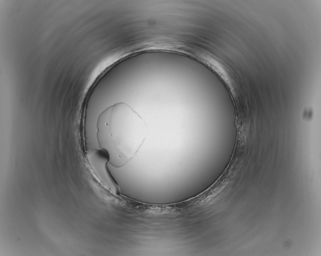 X0000089931146200707201835