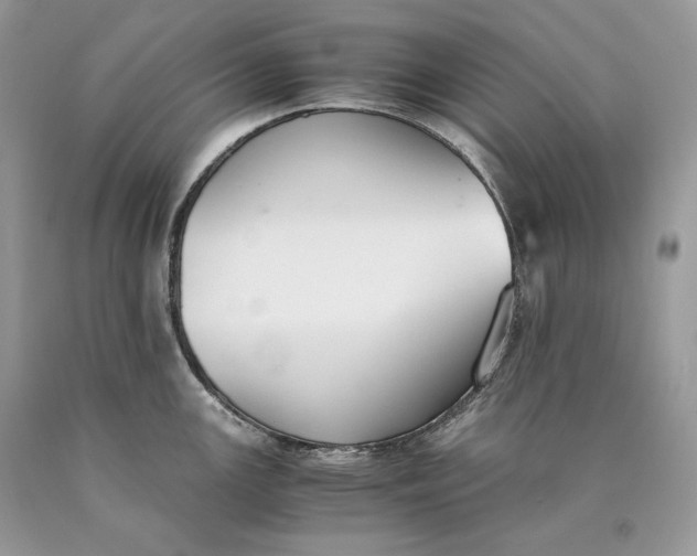 X0000089931147200707201835