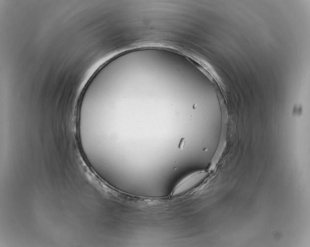 X0000089931148200707201835