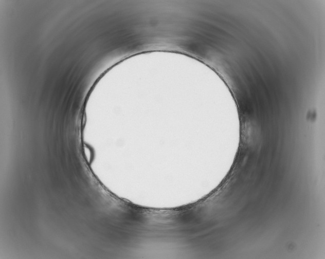 X0000089931150200707201835