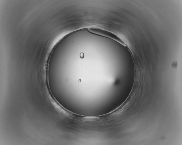 X0000089931151200707201835